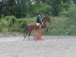 img_3604_web